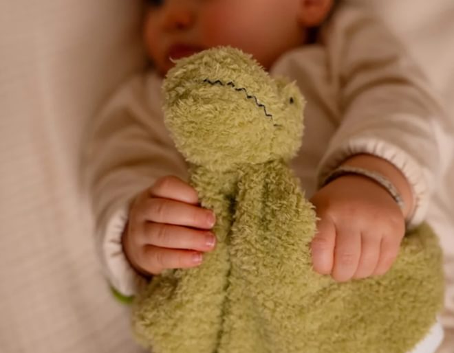 Dinosaur Baby Gift Box Comforter