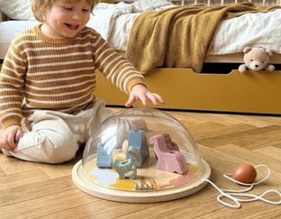 Dinosaur Magnetic Dome