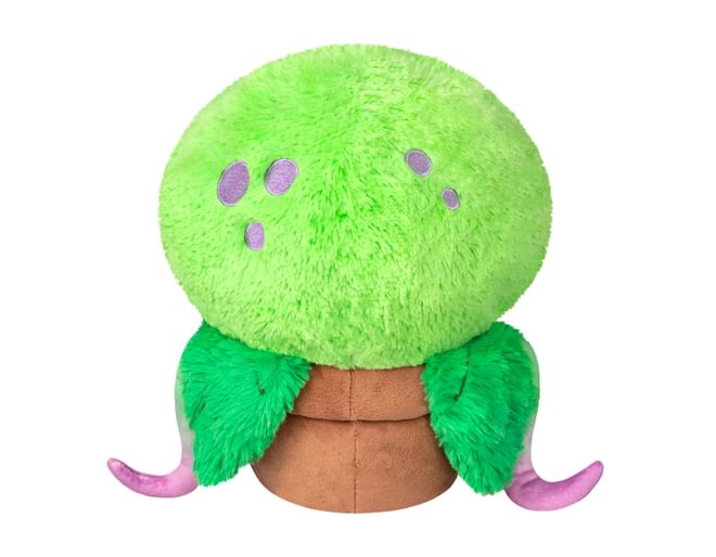 Venus Fly Trap