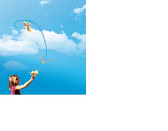 Original Flying Bird