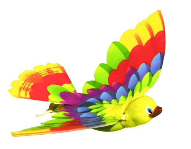 The Original Flying Bird Close Up