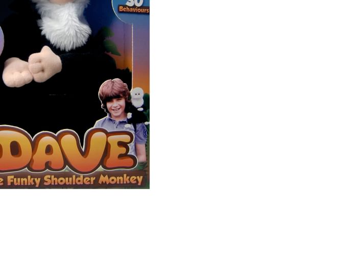 Dave The Monkey 