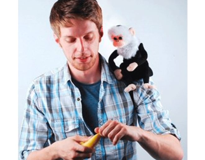 Dave The Monkey 