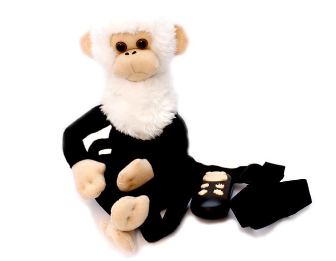 Dave The Monkey 